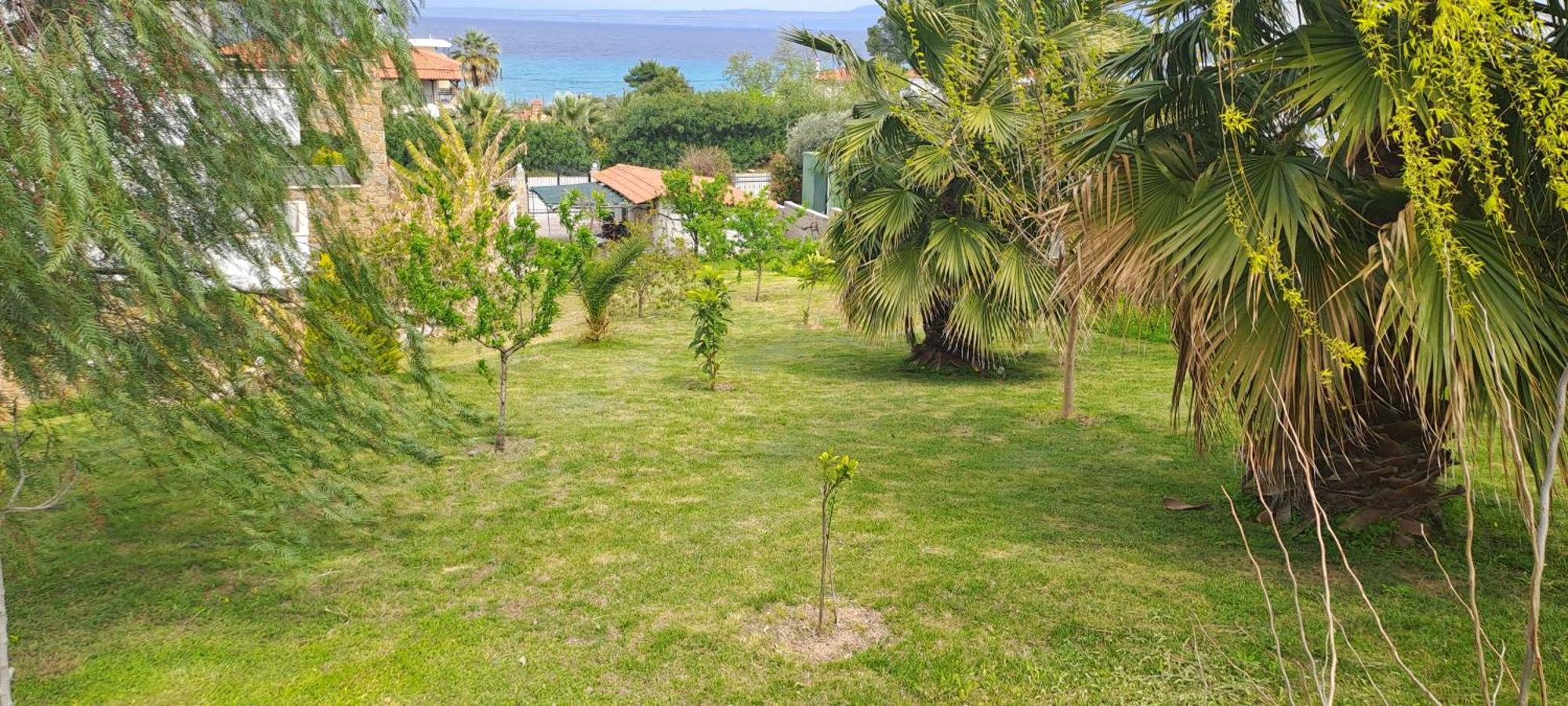 Villa Helga Exotic 페프코초리 외부 사진